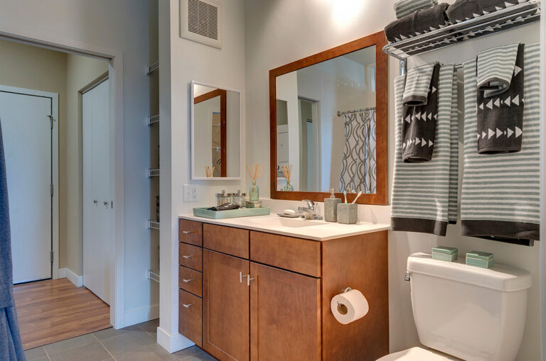 The Penfield St. Paul Apartments Apartment Bathroom 768x509