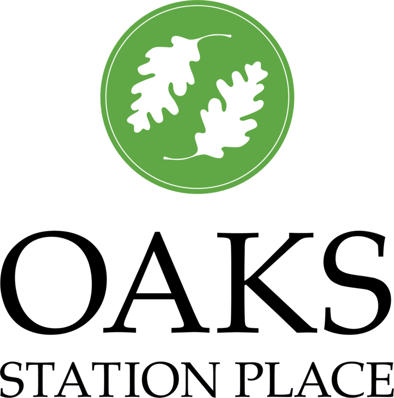 logo 768x776